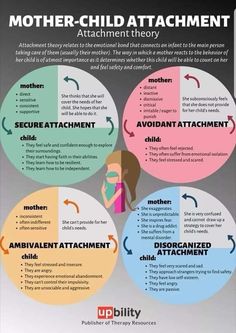 the mother - child attachment theory is shown in three circles with arrows pointing to each other