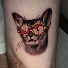 a close up of a cat with glasses on it's face and the bottom half of its leg