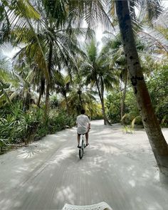 a man riding a bike down a sandy road surrounded by palm trees and other greenery