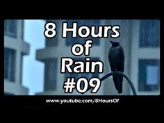 Rain sounds for sleep, relaxation, meditation, studying, yoga. 8 hours of long sleep sounds.  Please like, subscribe and comment if you enjoyed this video. It will really help me out a lot. http://www.youtube.com/subscription_center?add_user=8hoursof Sleep Relaxation, Fatigue Syndrome, Fitness Community, Relaxation Meditation, Holistic Lifestyle