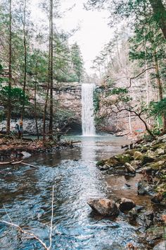 a waterfall in the middle of a forest with people standing near it and trees around