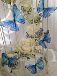 white roses and blue butterflies in a vase