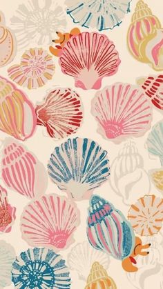 colorful seashells on a white background with pink, blue and yellow colors are featured in this image