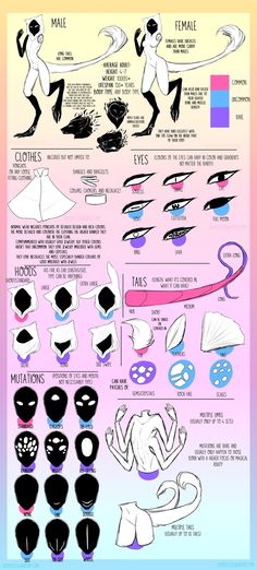 an info sheet with different types of hair and makeup