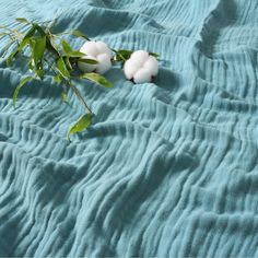 two cotton balls are laying on a blue blanket