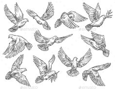 hand drawn birds flying in the air stock photo - image 349874