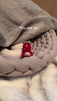 a stuffed animal in a blanket with the caption you are so