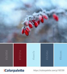 the color palette is red, blue and gray with some snow on it's branches