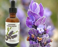 After Sun Spray, Distillation Process, Steam Distillation, Lavender Floral, Lavandula Angustifolia, Clay Masks, Lavender Essential Oil, Most Expensive, Me Time