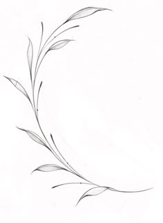 a black and white drawing of a branch with leaves on it's end, in the middle of a circle