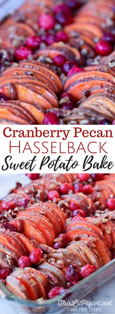 cranberry pecan hasselback sweet potato bake