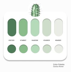 the color palette for cactus flower