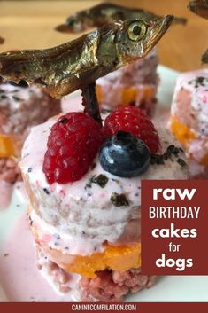 raw birthday cakes for dogs with raspberries and blueberries on top