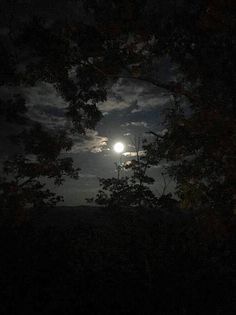 the full moon is seen through some trees