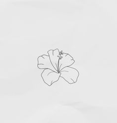 a drawing of a flower on a white background