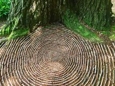 a circular pattern made out of logs in the woods