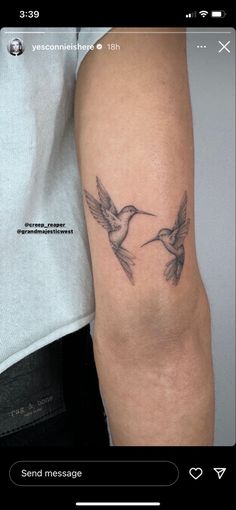 a couple of birds flying next to each other on a person's arm,