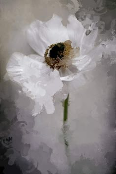 a white flower that is sitting in the middle of some water and it looks like an artistic painting