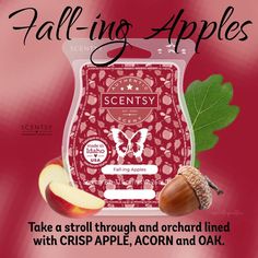 an advertisement for the scenty apple company with acorn and oak on red background