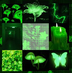 a collage of images with green and black lighting in the background, including candles, flowers, butterflies, and leaves