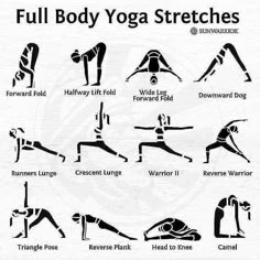 the full body yoga stretches chart