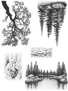 several different types of trees are shown in black and white