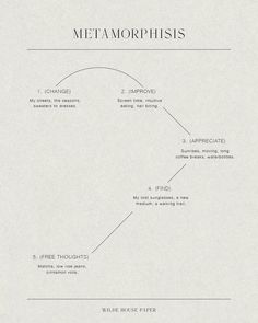 a diagram with the words metamorphiss written in white on top of it