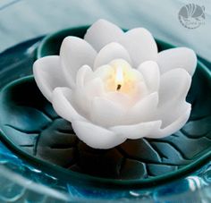 a lit candle in a glass bowl with water