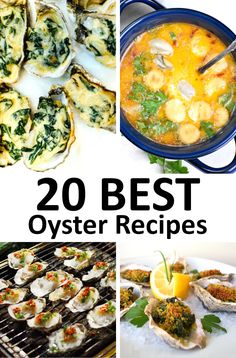 the top 20 best oyster recipes