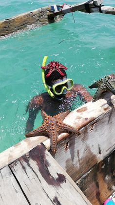 Starfish in Zanzibar Tanzania Culture, Grad Trip, Summer Energy