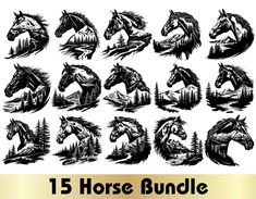 the 15 horse bundle is shown in black and white