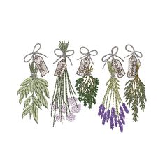 four different types of flowers hanging from strings