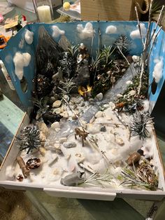 an open box filled with lots of different types of rocks and plants in snow covered ground