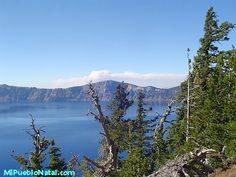 the trees are growing on the side of the mountain overlooking the water and mountains in the distance