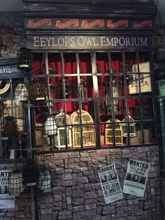 an image of a store front window with birdcages on display