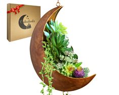 PRICES MAY VARY. INSPIRED BY THE COSMOS, this unique PATENT HANGING CRESCENT MOON PLANTER adds a touch of twinkle and CELESTIAL love to any space. Featuring the perfect vintage brushed finish, this eye catching handmade piece of art adds subtle gold tones to any room decor. It's perfect for hanging succulents or Indoor and Outdoor hanging plants require little water and shallow depth. Add some trailing little LEDs or battery TEA LIGHTS to this dreamy planter for an ambient glow to a quiet corner Moon Room Decor, Moon Planter, Moon Room, Bathroom Nursery, Metal Hanging Planters, Planter Gift, Mini Cactus, Hanging Succulents, Moon Decor