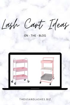 Lash Cart Ideas, Cart Organizer, Small Lashes, Lash Products, Cart Ideas, Lash Extensions Styles, Lash Salon