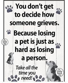 a sign that says, you don't get to decide how someone gives because losing a pet is just as hard as a person take all the time you need