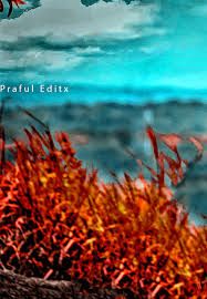 an image of the ocean and sky with red plants in foreground, as well as blue water