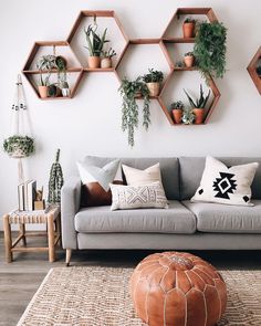 a living room with potted plants on the wall