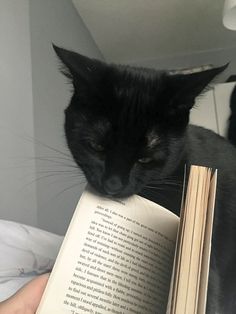 a black cat sitting on top of a bed next to an open book