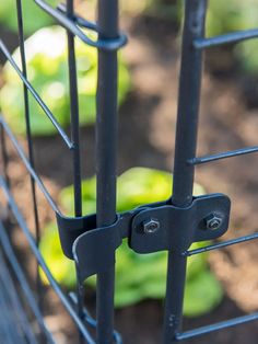 a close up of a metal fence with green plants in the backgrouds