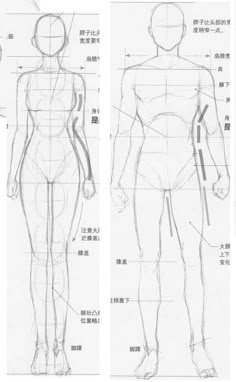 three different views of the human body and their features in chinese text, with instructions to draw