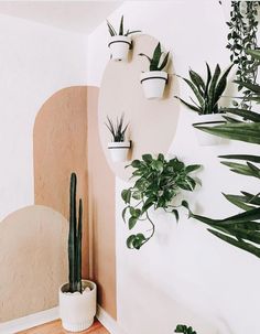 some plants are hanging on the wall in front of a mirror and potted plant