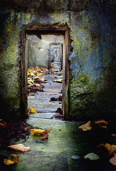 an open doorway with leaves on the ground