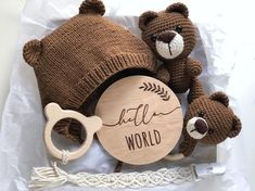 two brown teddy bears wearing knitted hats and holding a wooden sign that says hello world