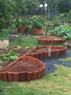 a garden filled with lots of different types of plants and dirt in front of trees