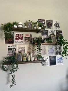 there is a wall with many plants and pictures on the shelves above it that are covered in photos