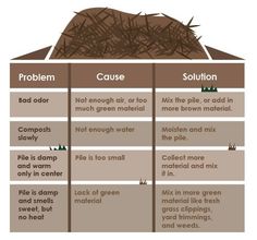 the soil is brown and has many different types of things on it, including grass