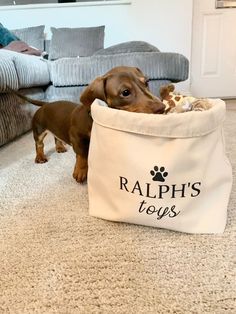 Personalised Dog Toy BasketPuppy Toy BasketPet Storage BasketDog Toy Box *Toys not includedThese lovely cotton canvas baskets are perfect for storing your dogs favourite toys or accessoriesYour pet's name will be created with high quality vinyl and heat pressed onto the fabricIf you would like to send this as a giftplease add a gift message to be sent along with your orderThe perfect gift for a new puppy or rescue dogMaterial100Cotton Canvas Size22 x 22 x 16cm Wipe/sponge Store Moodboard, Dog Gift Basket, Puppy Items, Dog Storage, Dog Accesories, Pet Things